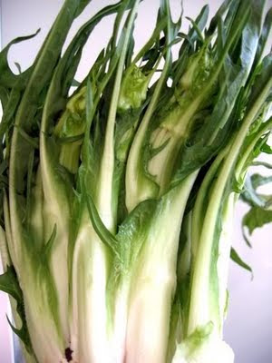 puntarelle