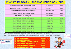Hai o business plan 03 picture