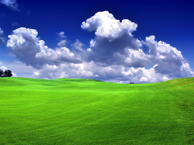 Nature Picture on 3d Hd Nature Wallpapers 2010 11 New Hd Nature Wallpapers Nature