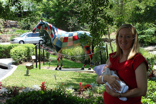 The ole' lady with the New Baby.....and a horse!