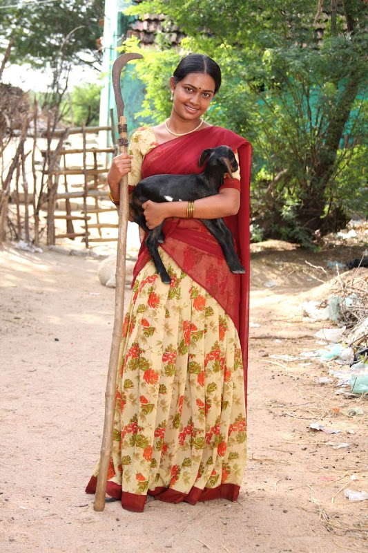Ayyan Tamil Movie Actress Hot Stills Cute Stills Bad Stills Gallery gallery pictures