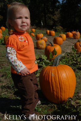 [apumpkin2.jpg]