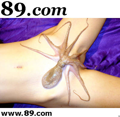 Pulpos+-Octopus+Porn-.jpg