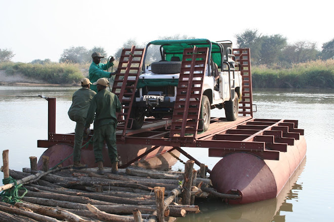 The Pontoon Across the Luangwa River