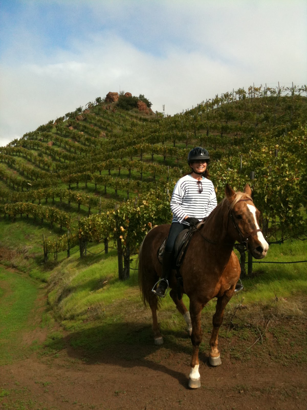 Romantic Couples Rides! Horseback Riding Malibu!