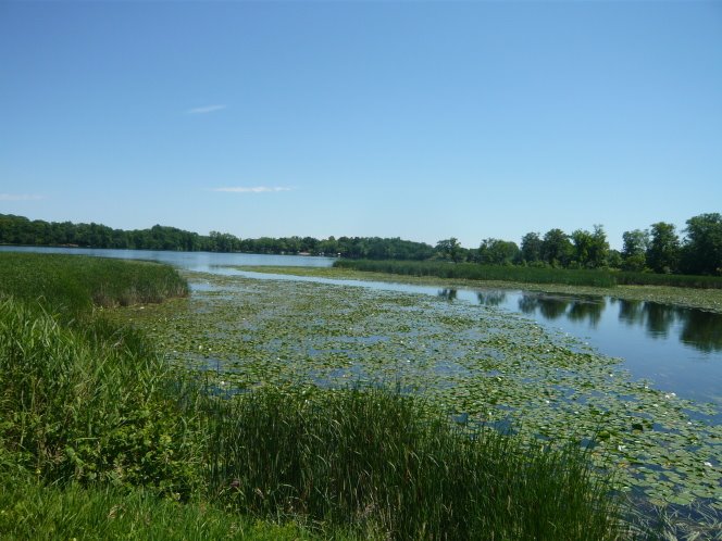 A Minnesota lake