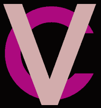 Dictionary of Computer Vision and Image Processing