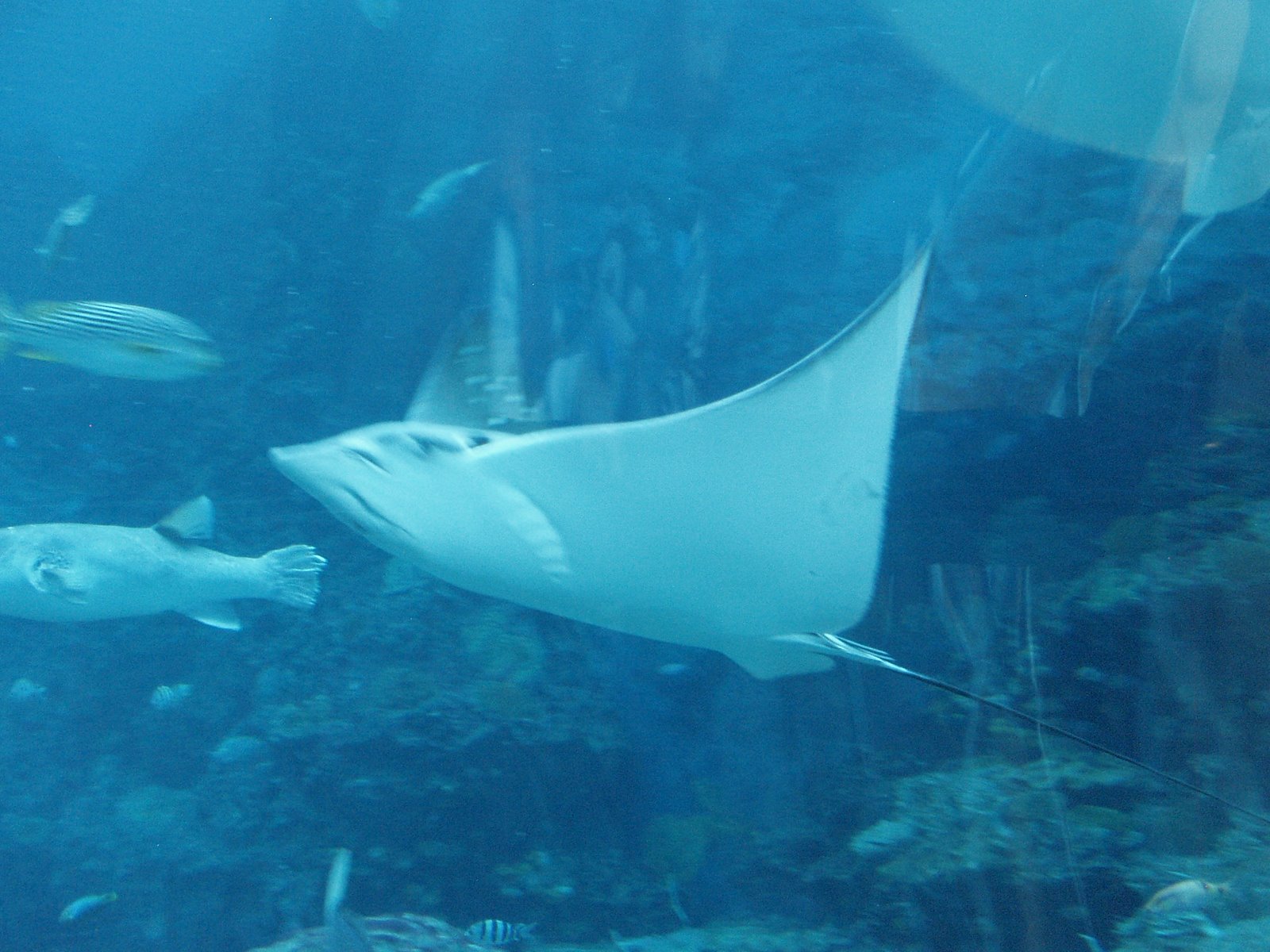 [P2220414.JPG]