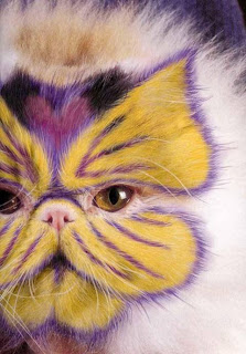 Painted_Cats