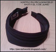 Sorteo en Pecashworld