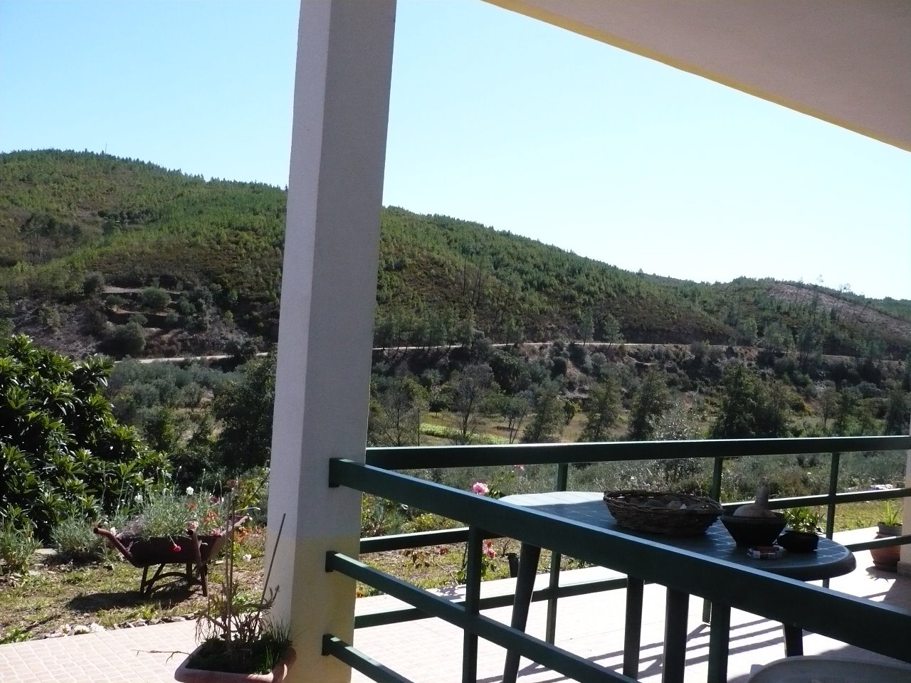 [P1020121.JPG]
