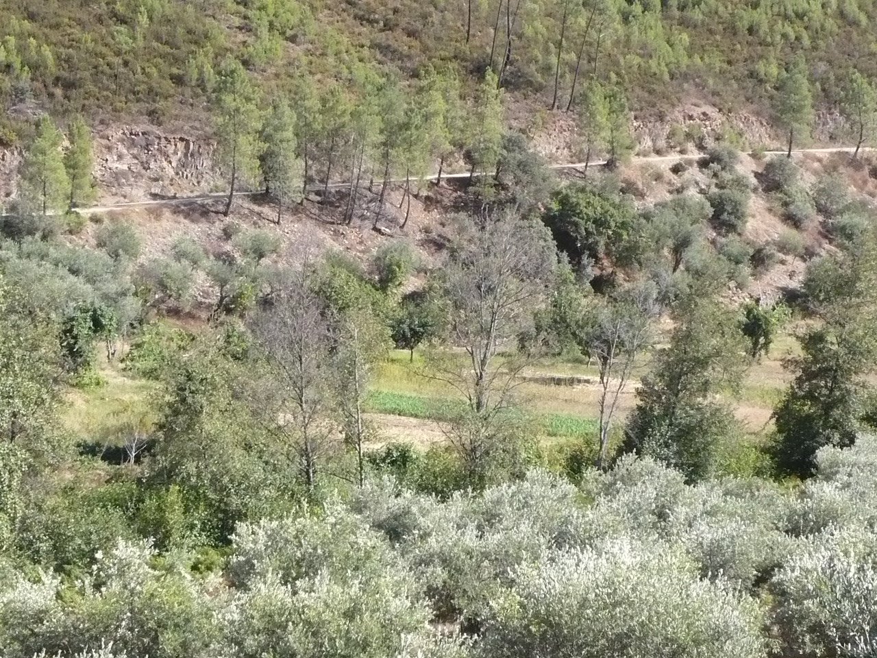 [P1020103.JPG]