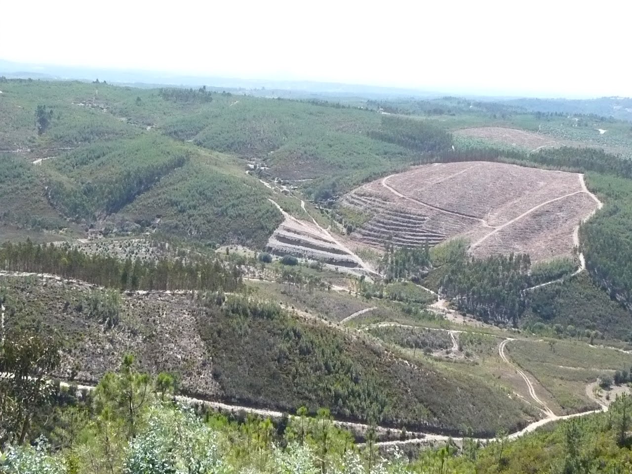 [P1030096.jpg]