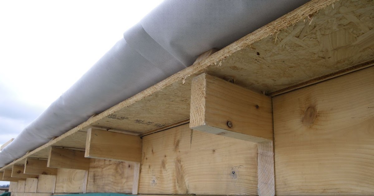 5253 Build Trimming the Flat Roof Eave