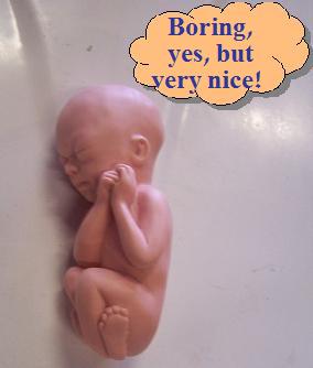 [6_month_fetus_0.sized+3.jpg]