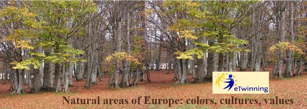Natural areas of Europe: colors, cultures, values