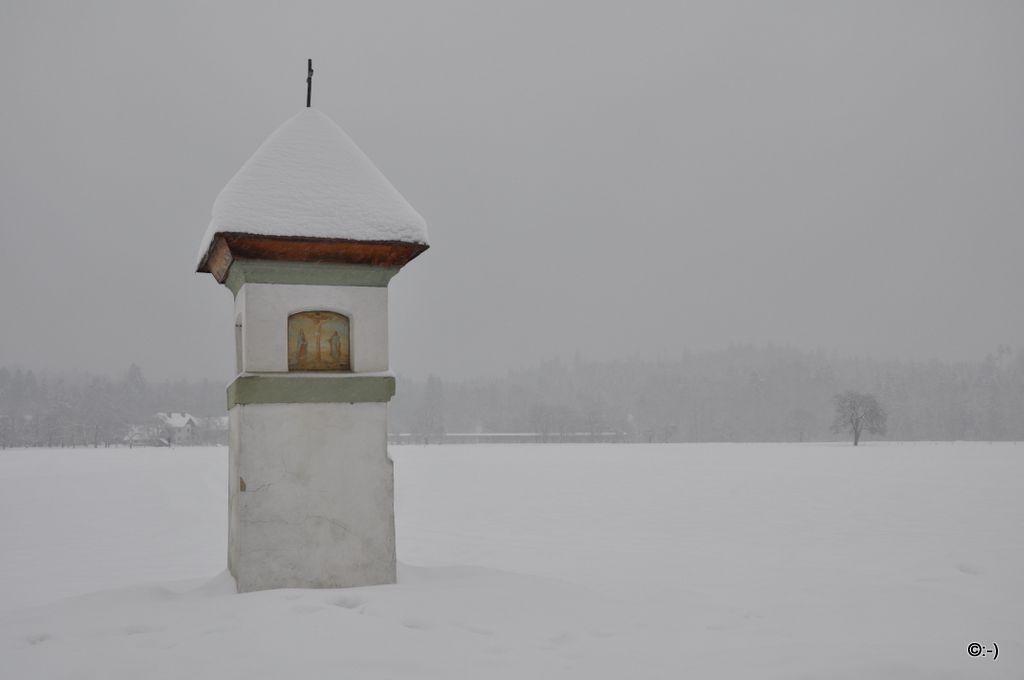 [DSC_0629.JPG]