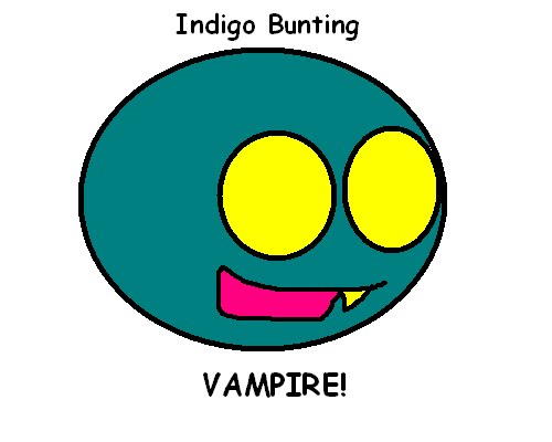 Indigo Bunting Vampire