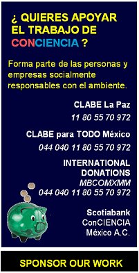 Realiza tus donaciones