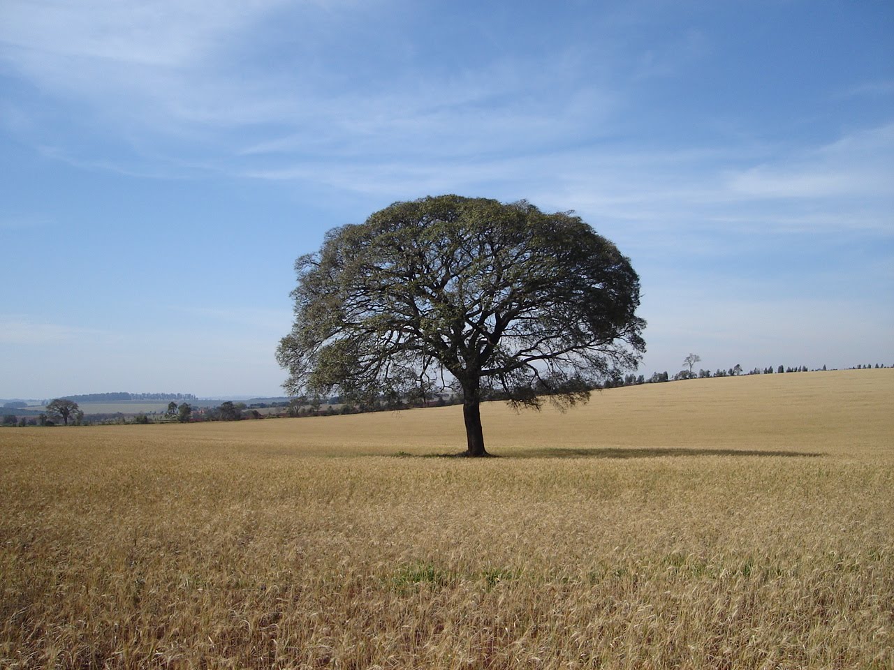 [DSC09443.JPG]