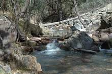 [rucker_crk_rucker-forestcmp_cg-coro1.jpg]