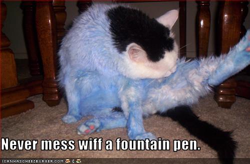 funny-pictures-cat-messed-with-pen.jpg