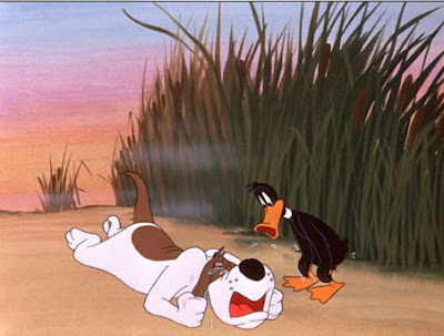 daffy duck daffy duck