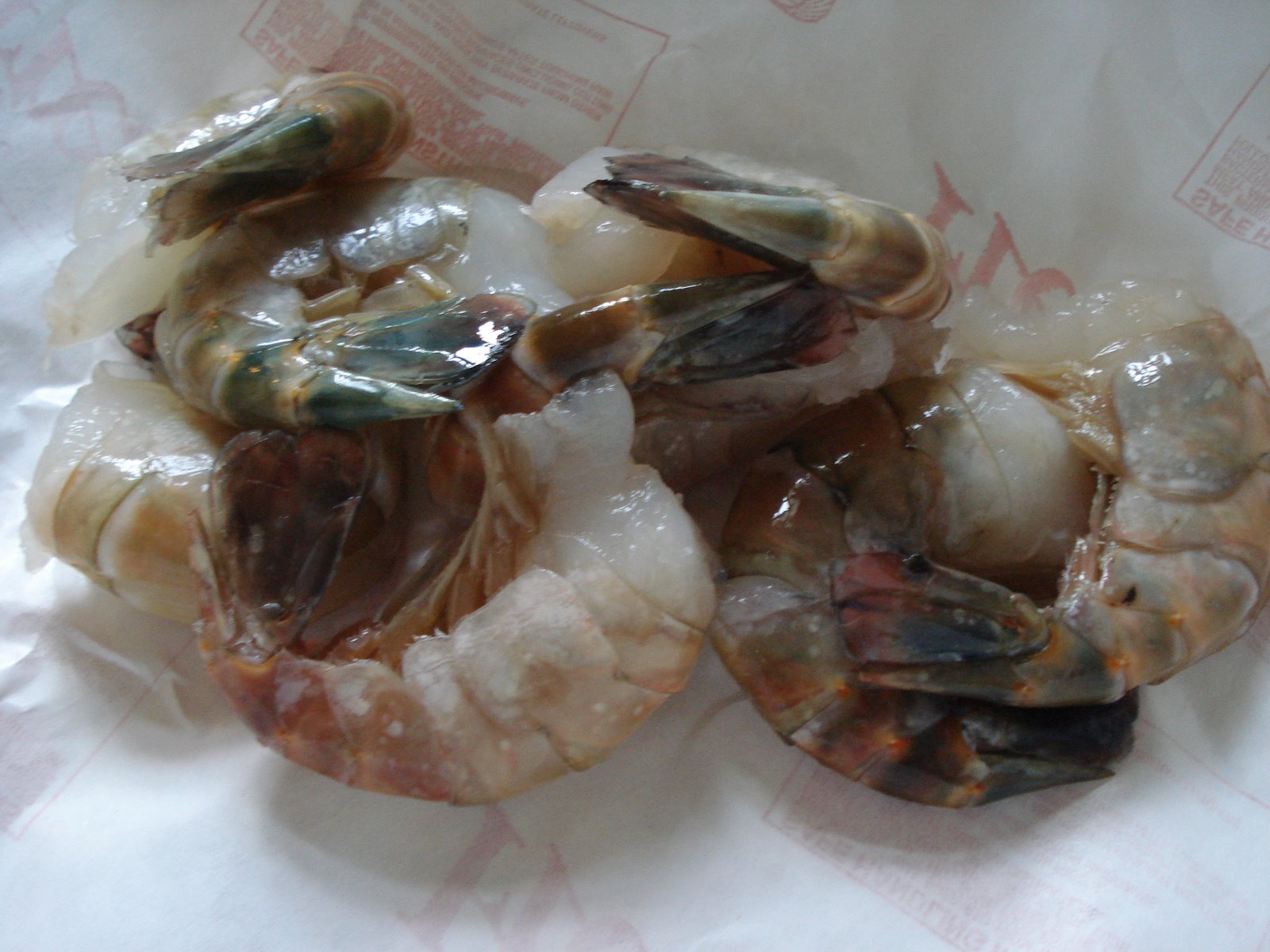 [shrimp+1.JPG]