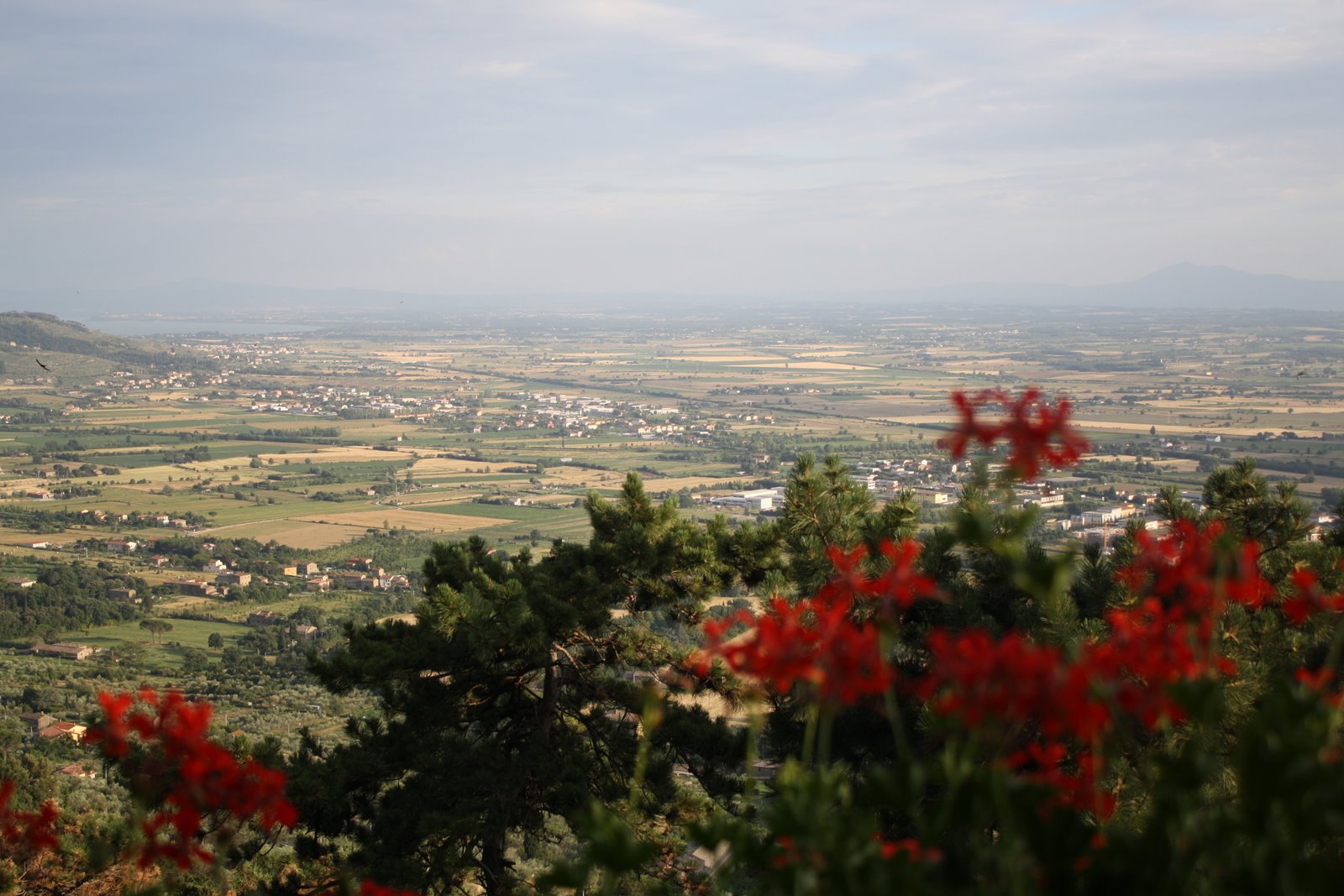 [IMG_0058.JPG]