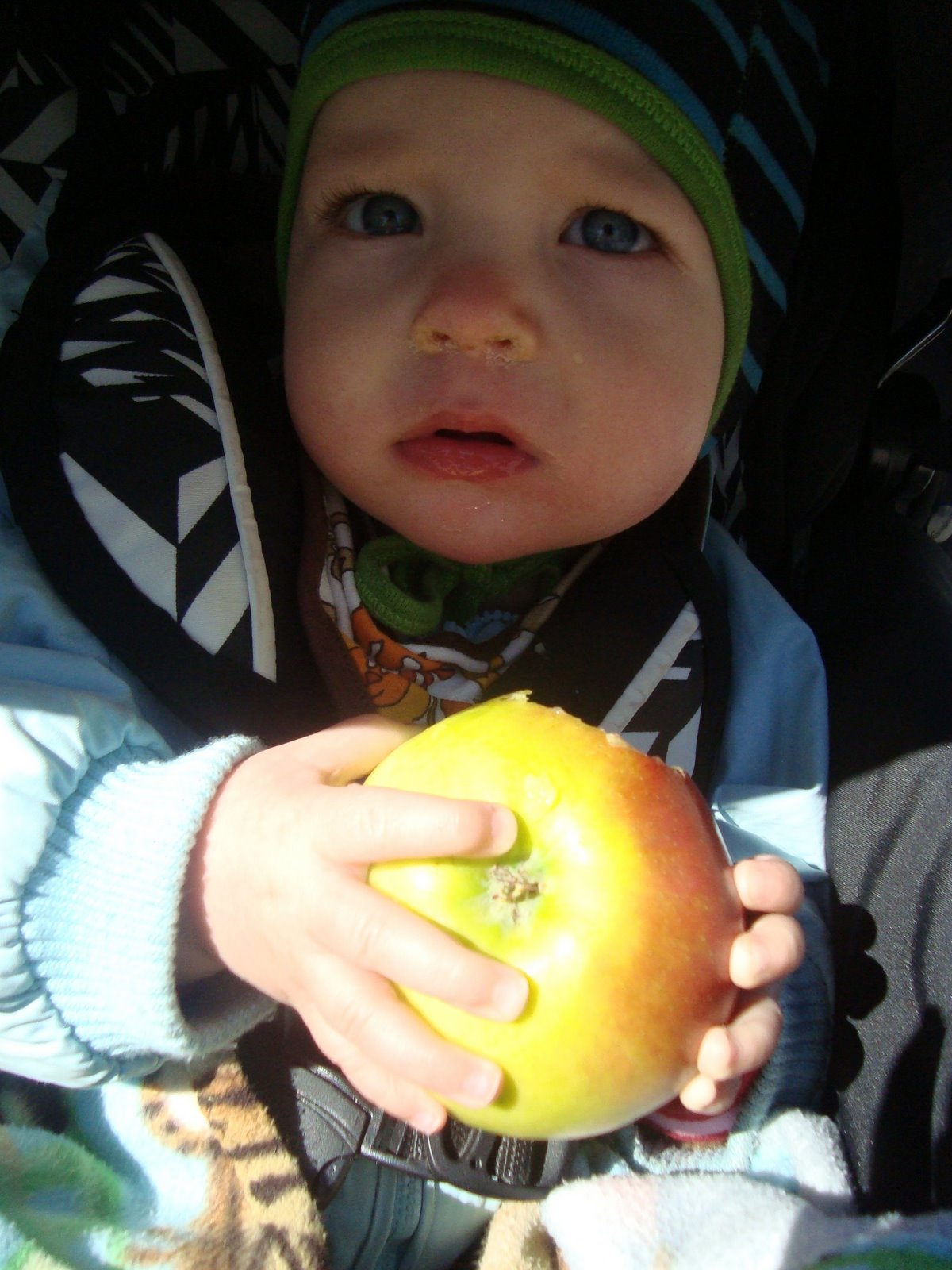 [DSC04186.JPG]