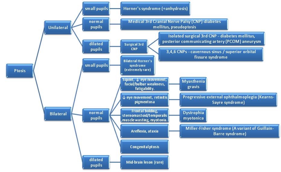 KraYS Med Tips: Ptosis (flow chart)