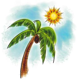 Sun Palm Trees