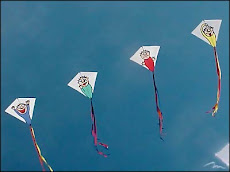 Kite Flying 101