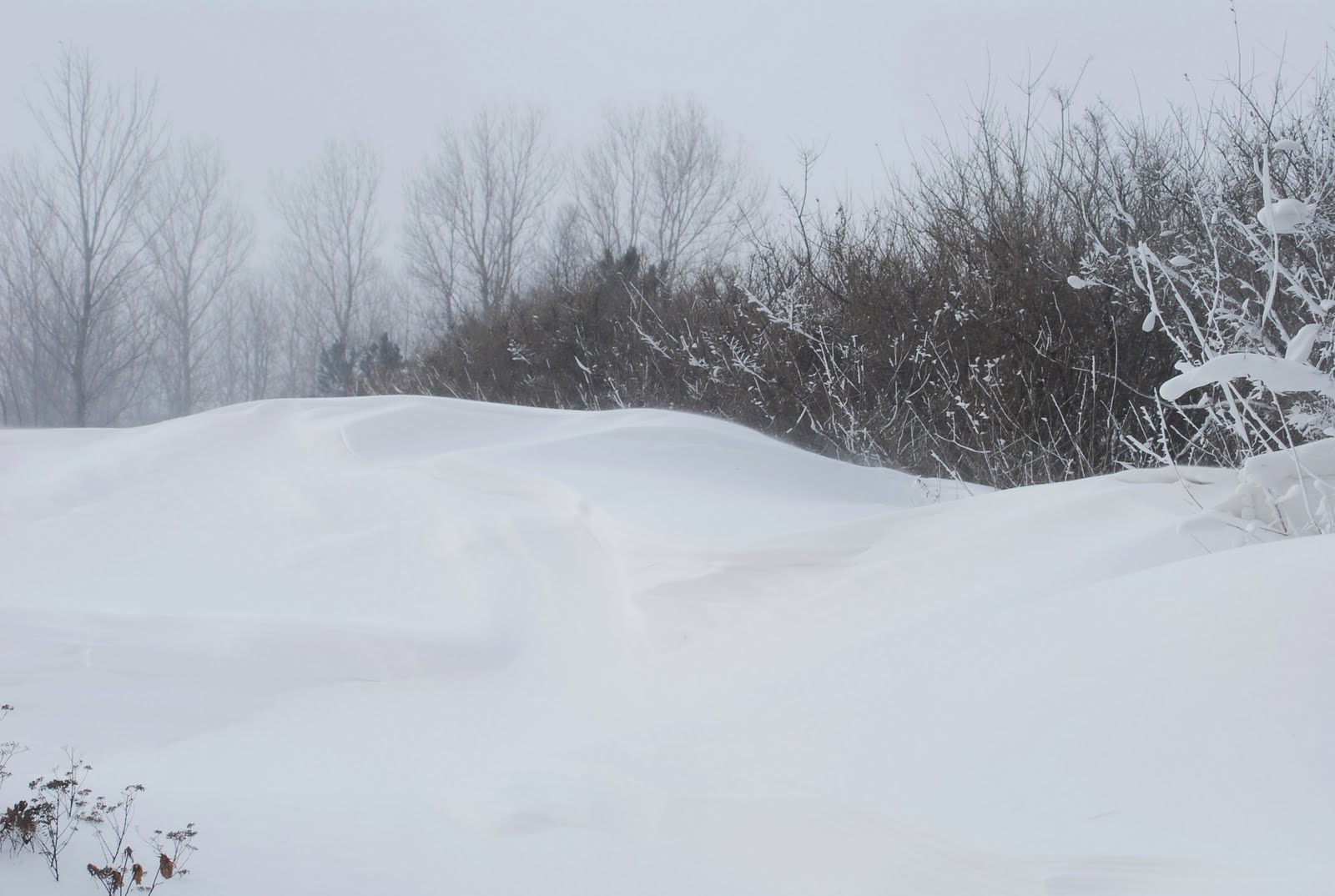 [DSC_0035.JPG]