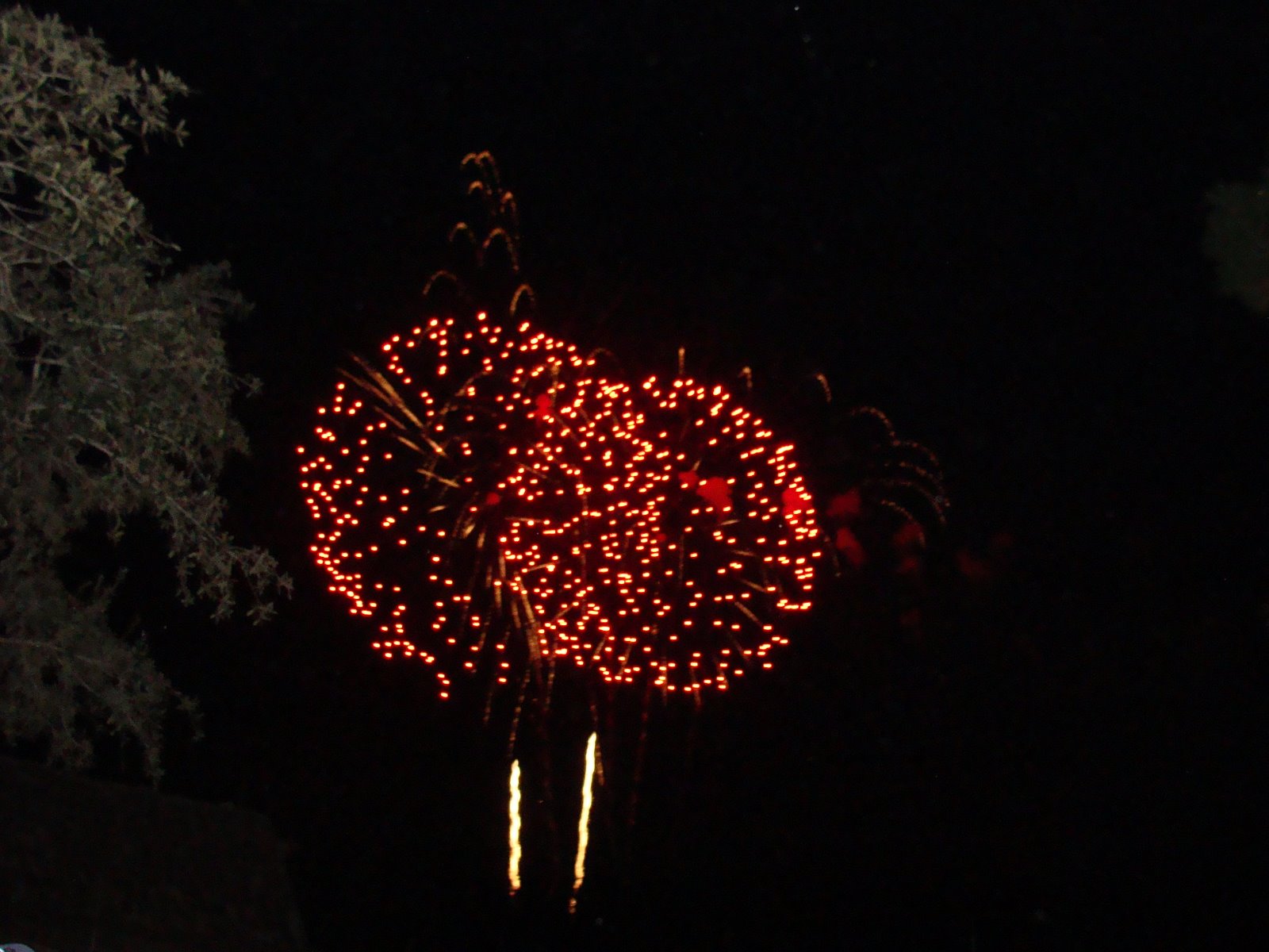 [DSC00201.JPG]