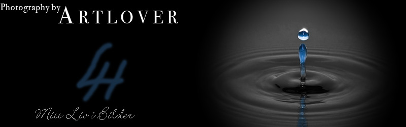 Artlover