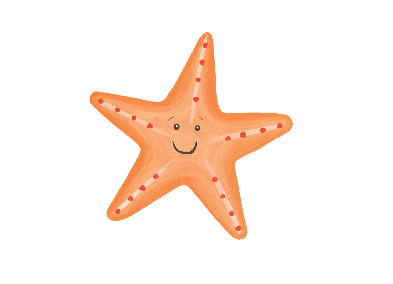 Starfish+Animated Starfish Animated http://lucybodenillustration. 