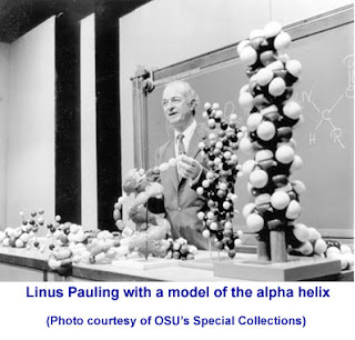 francis cricks work in discovering the dna molecule (a) francis crick (left) and james watson (right) proposed that the dna molecule has a double-helical structure (b) biochemists can now pinpoint the position of every atom. francis cricks work in discovering the dna molecule (a) francis crick (left) and james watson (right) proposed that the dna molecule has a double-helical structure (b) biochemists can now pinpoint the position of every atom.