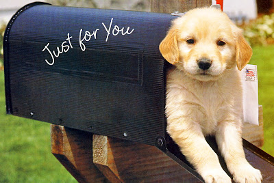 http://4.bp.blogspot.com/_mNMheysB5Oc/TC11-yfzKzI/AAAAAAAABvc/N9IUZqzurNA/s400/pup+in+mailbox.jpg