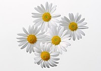 pang par vek in mawi uh si