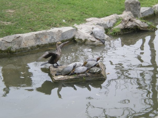 [n664631866_1320328_6355.jpg]