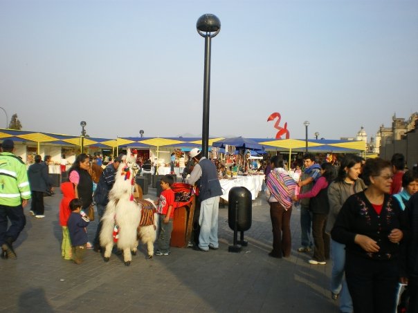 [n664631866_1452736_420.jpg]