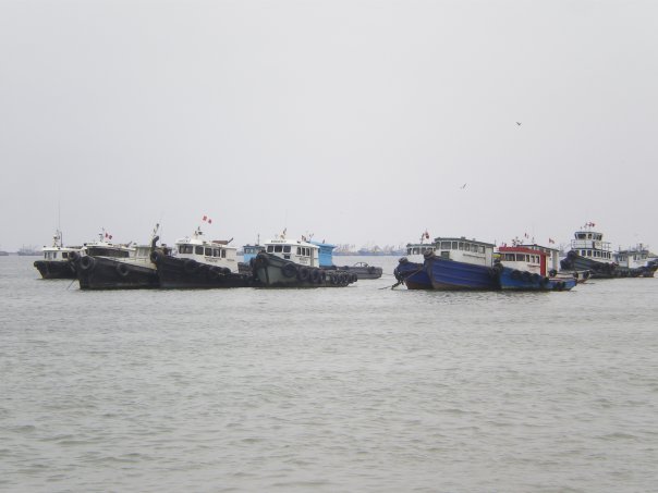 [n664631866_1497718_3103.jpg]