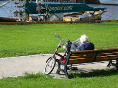 Al sol
