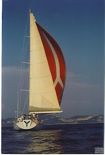Y Not Yacht Charter
