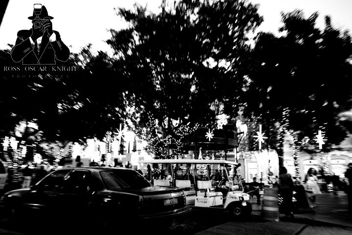 [_MG_0941.jpg]