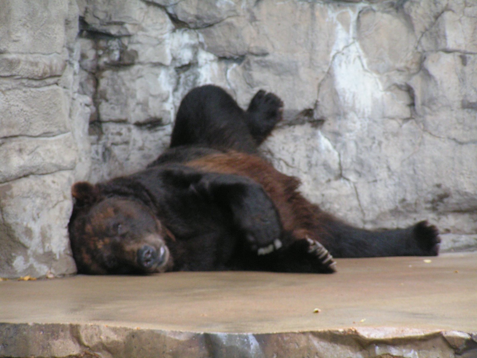 [Lunch+and+Zoo+017.JPG]
