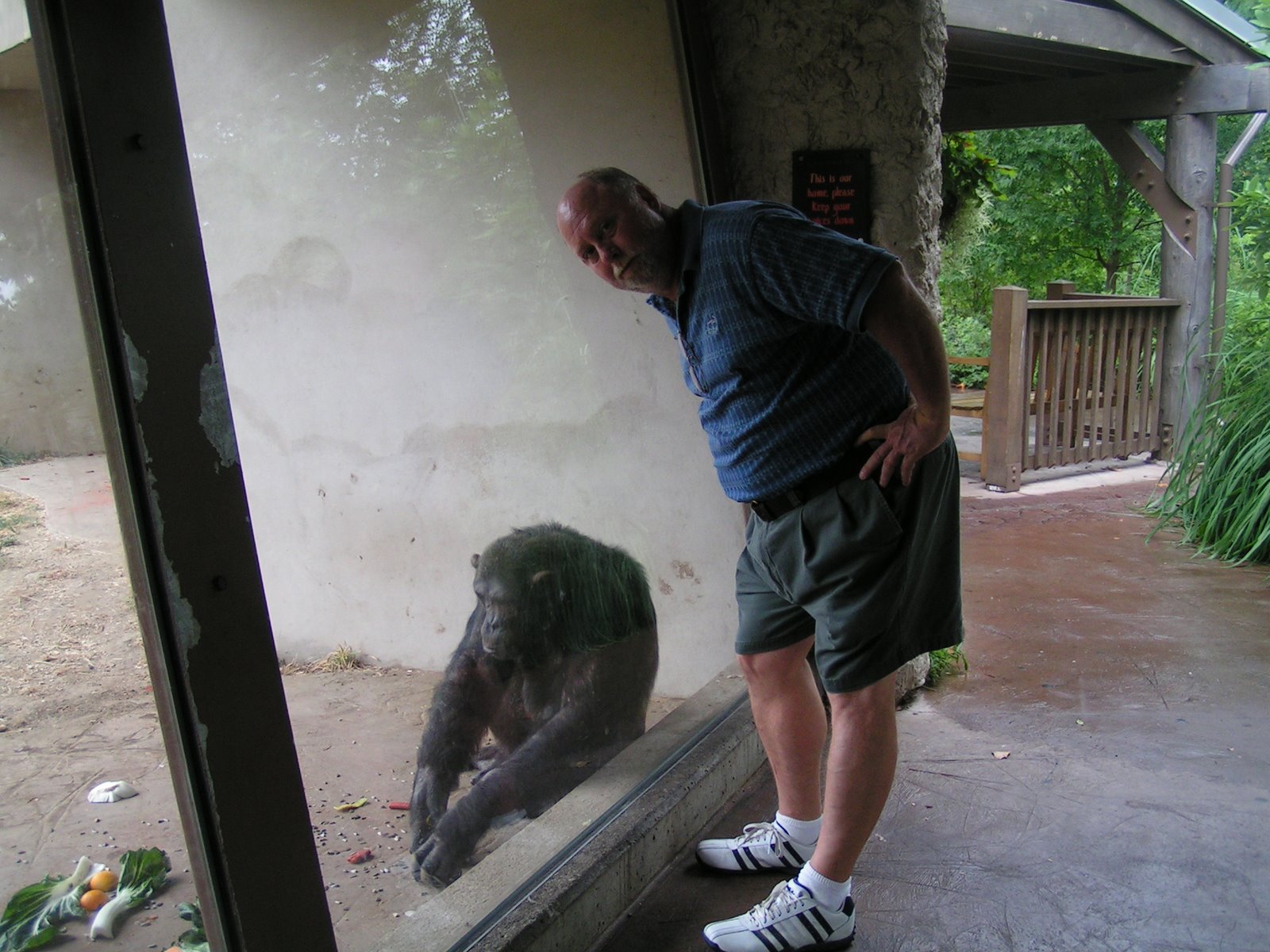 [Lunch+and+Zoo+028.JPG]