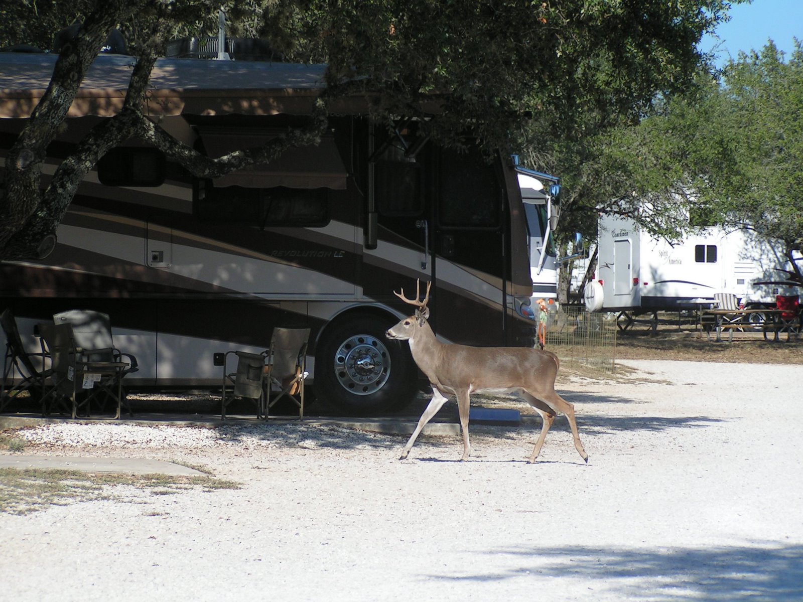 [Deer-Alamo-Missions+018.JPG]