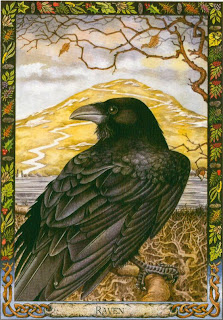 raven,+druid+cards.jpg